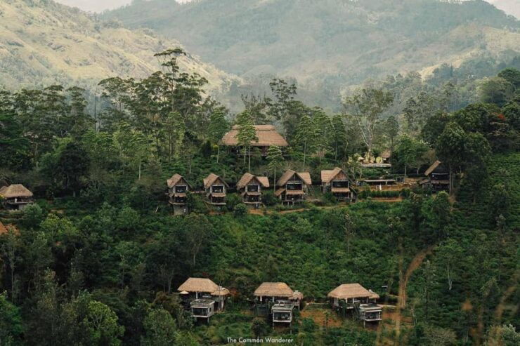 Ella Visit From Kandy by Private Transportation With Guide - Itinerary Highlights