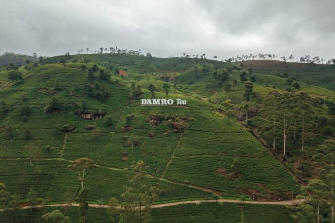 Ella Visit From Kandy by Private Transportation With Guide - Guide and Amenities