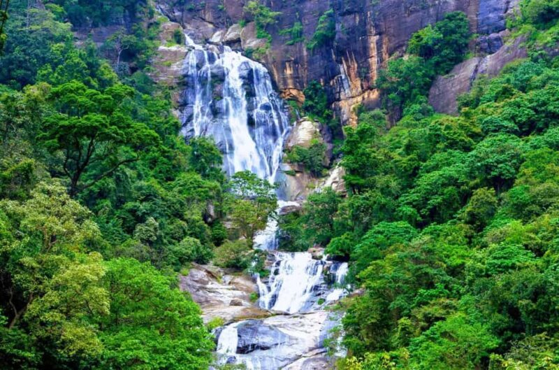 Ella: Waterfall Hunter Guided Tour with Lunch - Diyaluma Falls: Sri Lanka’s Second-Highest