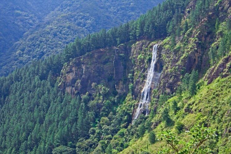 Ella:Bambarakanda Falls & Lanka Falls With Natural Pool Bath - Highlights