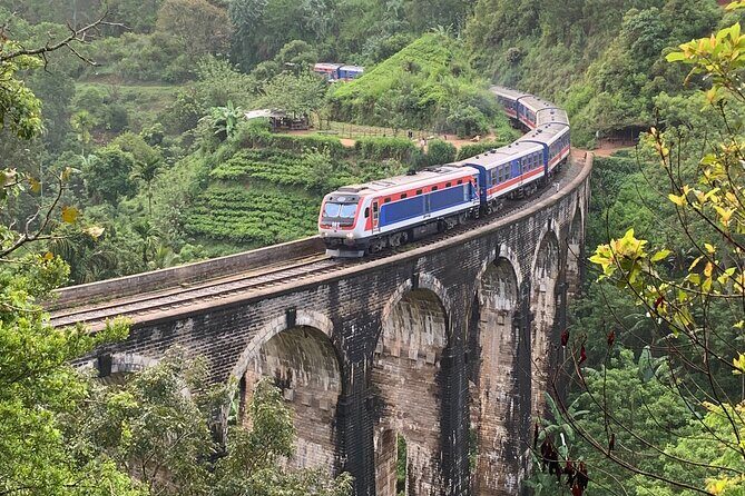 Ella:One Day Tour From Ella & Pickup From Tangalle/Mirisa/Colombo - Authentic Insights from Reviewers