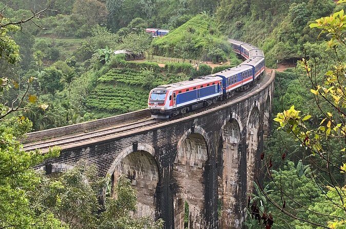 Ella:One Day Tour From Ella & Pickup From Tangalle/Mirisa/Colombo - Who Is This Tour Best For?