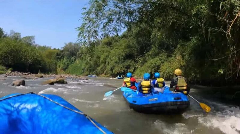 Elo River Rafting Adventure with Pickup in Yogyakarta - Introduction