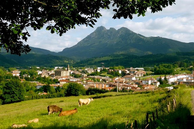 Elorrio, Oñati and Arantzazu - Experienced Guide and Round-Trip Transportation