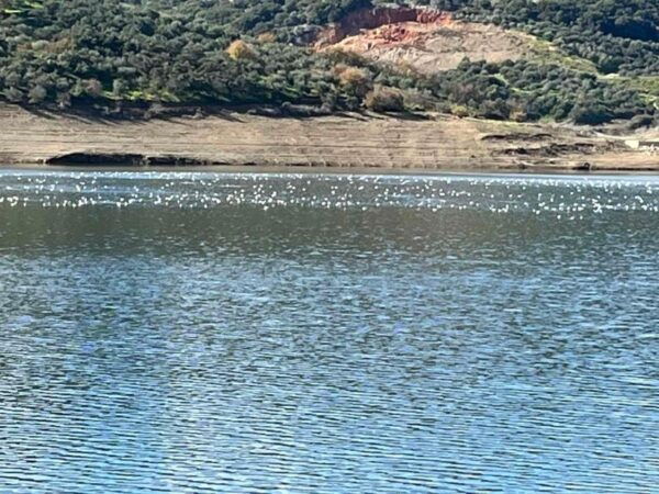 Elounda: Private Guided Tour, Zeus Cave, Lasithi Plateau - The Sum Up