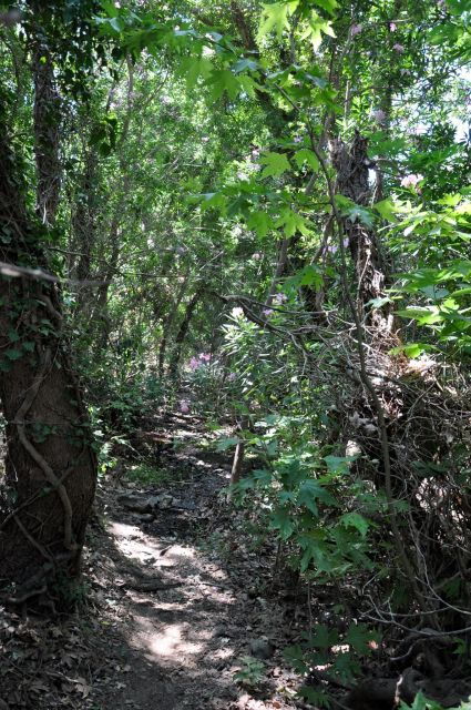 Elounda: Private Tour to Rihti Waterfalls and Mochlos - Additional Information