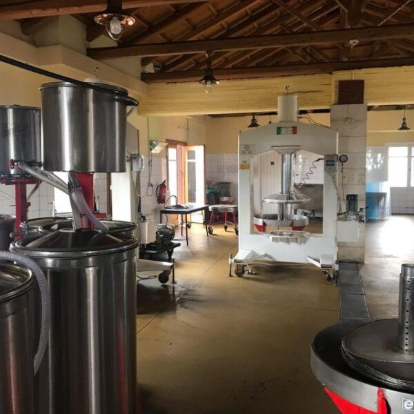 Elounda: Private Wine and Olive Oil Tasting Tour & Lunch - Olive Oil Tasting