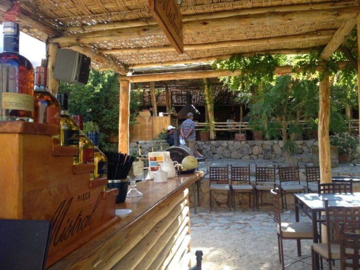 Elqui Valley Tour From La Serena - Tour Details