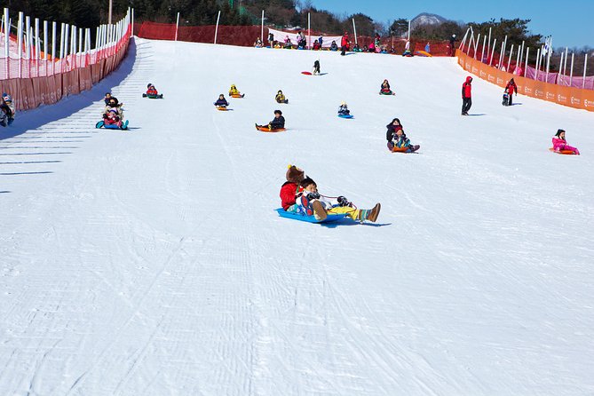 Elysian Gangchon Ski Resort Day Tour From Seoul - Tour Overview