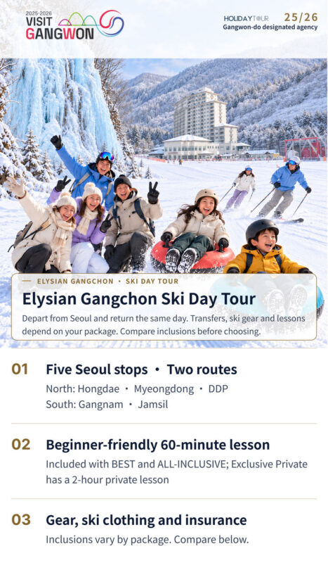 Elysian Gangchon Ski & Snowboard Tour with Gugok Ice Wall Option - Who will get the most from this ski day