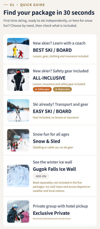 Elysian Gangchon Ski & Snowboard Tour with Gugok Ice Wall Option - Should you book it?