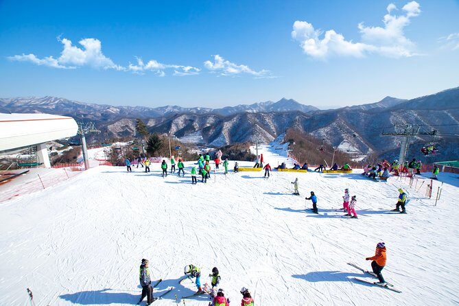 Elysian Gangchon Winter Ski with Nami Island Day Tour from Seoul - Good To Know