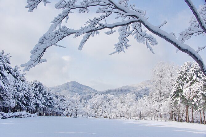 Elysian Gangchon Winter Ski with Nami Island Day Tour from Seoul - Final Thoughts: Who Will Love This Tour?