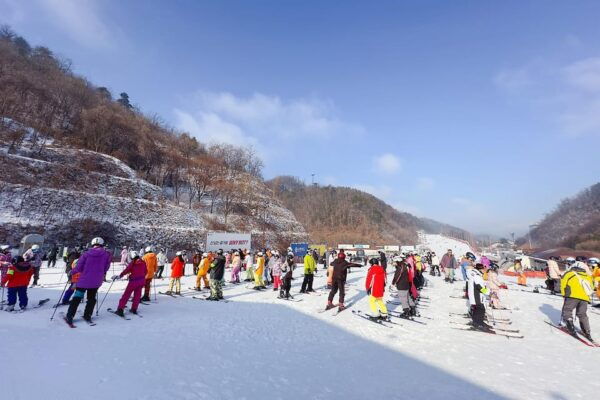 Elysian Ski Day Tour (Clothing+Ski Gear+Basic Lessons) - Booking Information