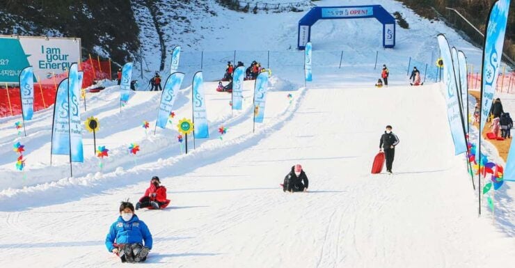 Elysian Ski Resort_ Snow Hill (Snow Sled) Day Tour - Key Points