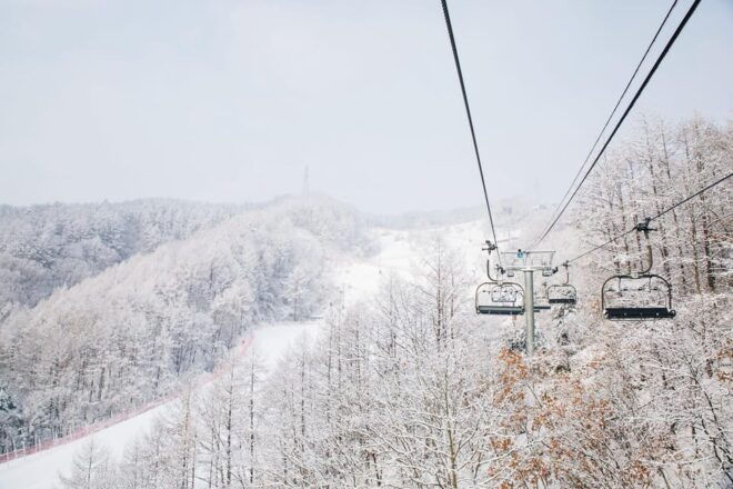 Elysian Ski Resort_ Snow Hill (Snow Sled) Day Tour - Booking and Cancellation Policy