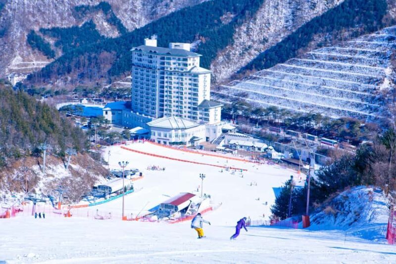 Elysian Ski | Ski Wear+Gear+Moving Walk+ Basic Lesson - The Sum Up