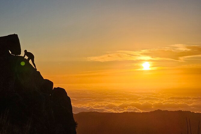 Set out on a Luxurious Private Journey: Unveiling the Madeira Best - Highlights of Madeira Best