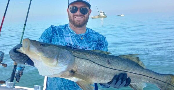 Set out on a Thrilling Adventure With Skyway Fishing Tours - Sarasota Skyline