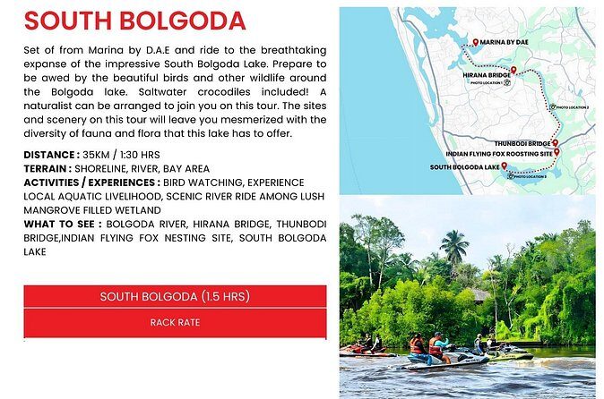 Embark on an Adrenaline-Fueled Safari Experience - The Fun Factor