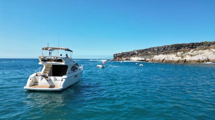 Embark on Ohh Lala Sailing Along the Southwest of Tenerife - Experience Highlights