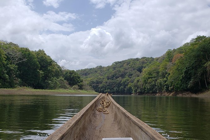 Embera Village and Jungle Tour - Tour Details & Pricing