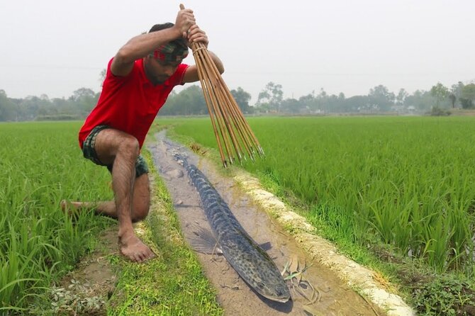 Embrace the Farmers Way: Dive Into the Paddy Farming Adventure - Dietary Requirements