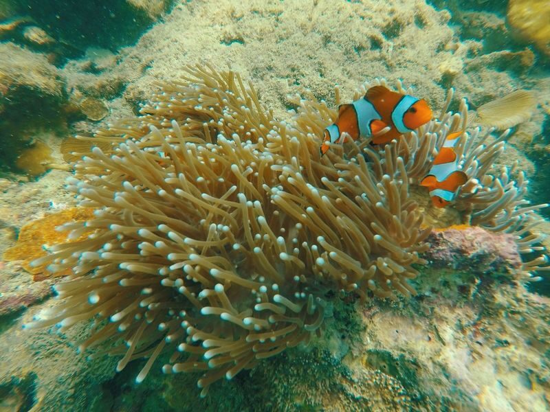 Emerald Cave & 4 Islands Day Tour with Snorkeling Experience - Guides and group care make a difference