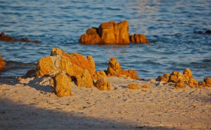 Emerald Coast: Rubber Boat Tour With the Marine Biologist - Tour Price and Duration