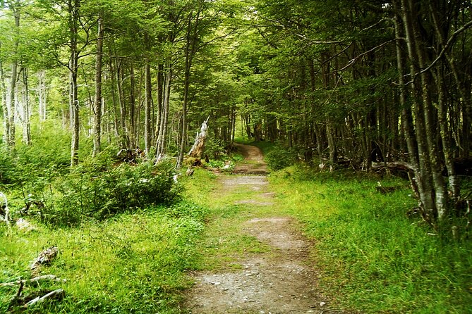 Emerald Lagoon Private Trekking Tour - Tour Requirements