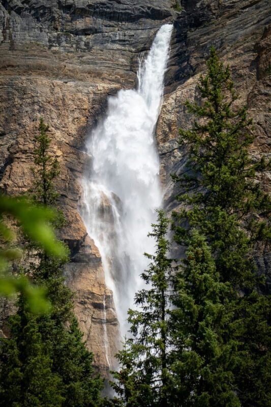 Emerald Lake (Optional Canoe) & Takakkaw Falls Premium Small Group - Emerald Lake: the day’s main event