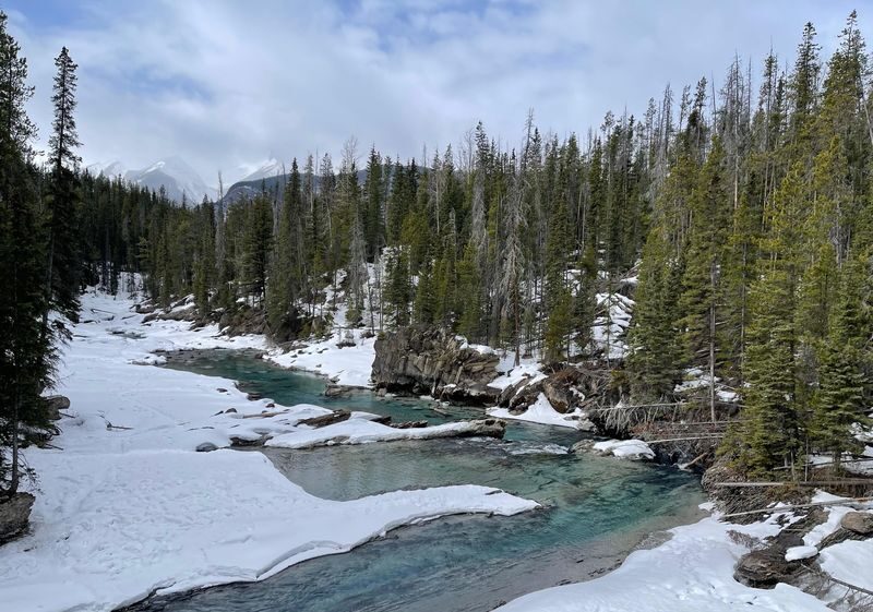 Emerald Lake (Optional Canoe) & Takakkaw Falls Premium Small Group - Takakkaw Falls: a powerful finish