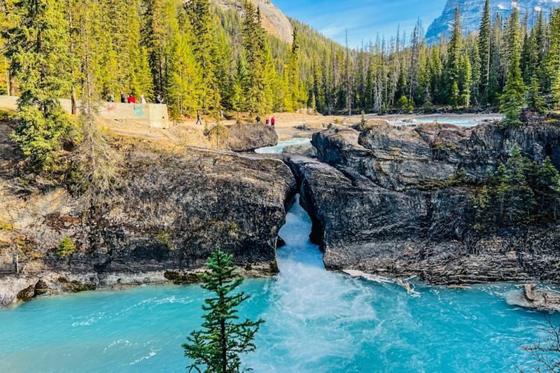 Emerald Lake, Wapta Falls and Takakkaw Falls tour in Yoho - Wapta Falls adds a second waterfall stop