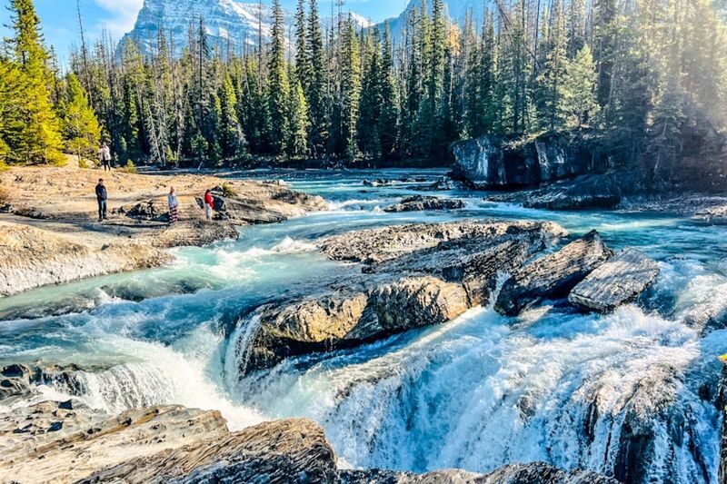 Emerald Lake, Wapta Falls and Takakkaw Falls tour in Yoho - Takakkaw Falls completes the scenery mix