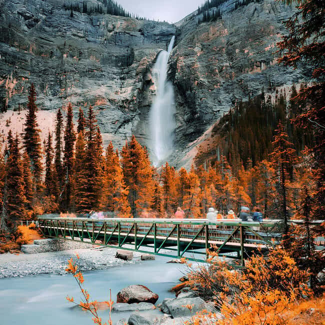 Emerald Lake, Wapta Falls & Takakkaw Falls in Yoho - Good To Know