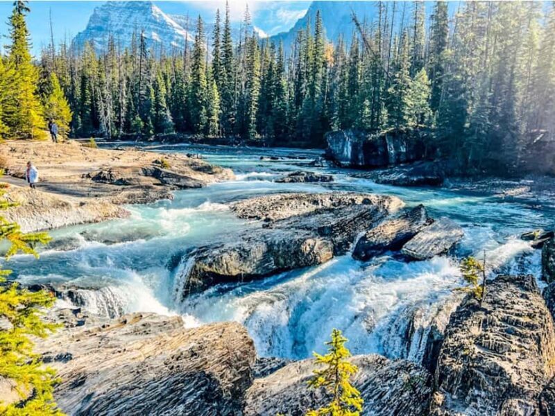 Emerald Lake, Wapta Falls & Takakkaw Falls in Yoho - Who Should Consider This Tour?