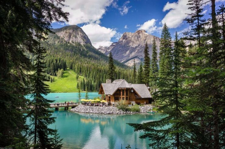 Emerald Lake,Lake Louise, Moraine, JohnstonCanyon&Banff Tour - Itinerary Highlights