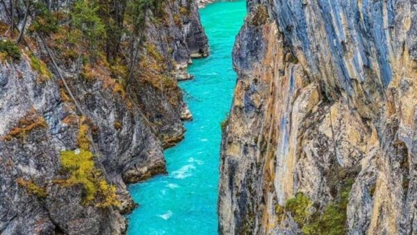 Emerald Lake,Lake Louise, Moraine, JohnstonCanyon&Banff Tour - Pickup Locations