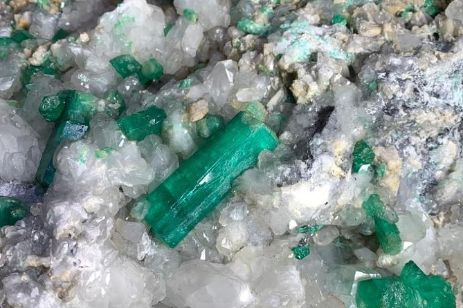 Emerald Lecture - Become an Expert - Experience Details