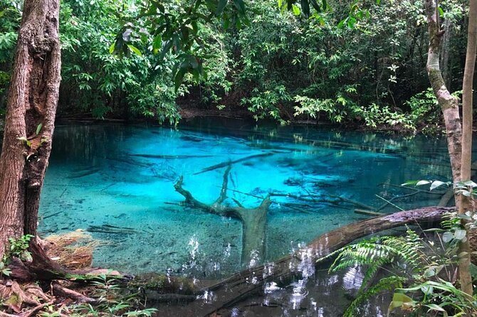 Emerald Pool: Jungle Tour, Private Full Day With Lunch - What Is the Emerald Pool?