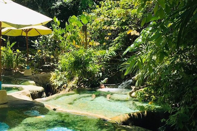Emerald Pool: Jungle Tour, Private Full Day With Lunch - Expert Guide and Local Knowledge