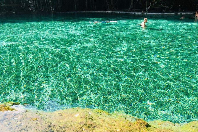 Emerald Pool: Jungle Tour, Private Full Day With Lunch - Tips for a Memorable Experience