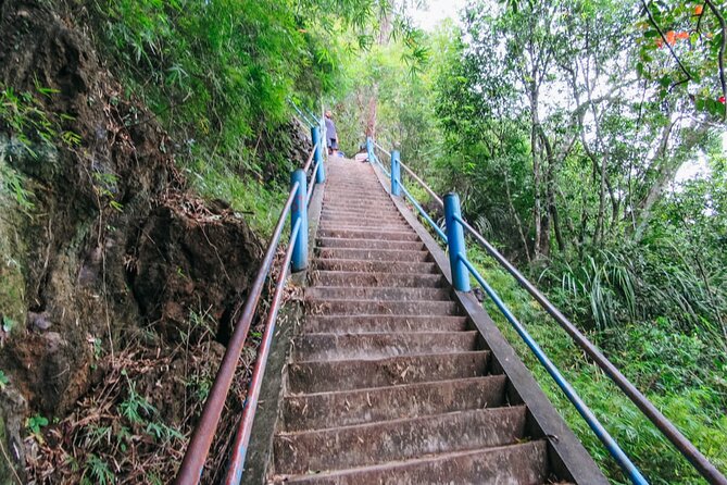 Emerald Pool: Jungle Tour, Private Full Day With Lunch - Booking Information and Availability