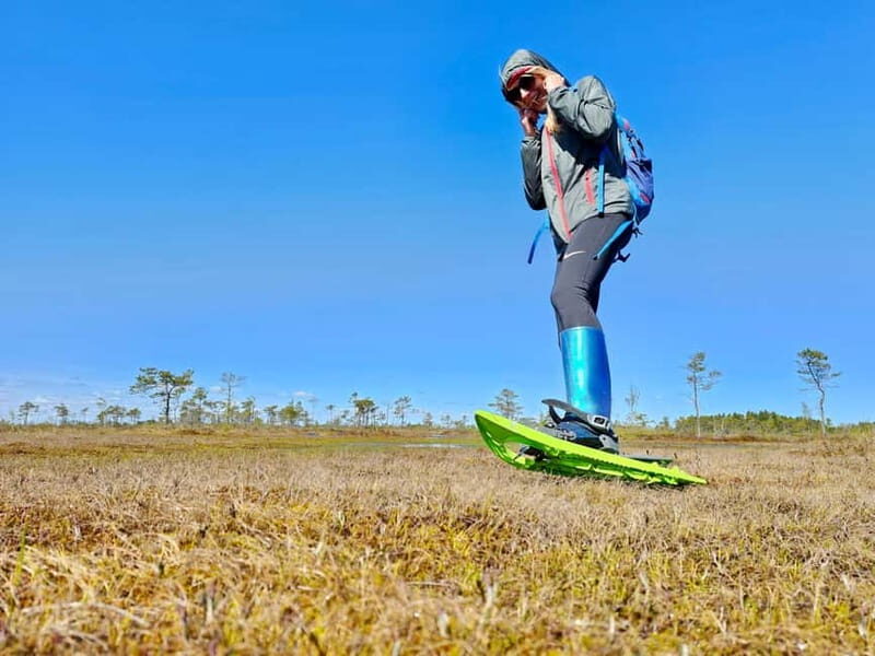 emeri Bogs Adventure: Explore Wetlands In Bog Shoes - Good To Know