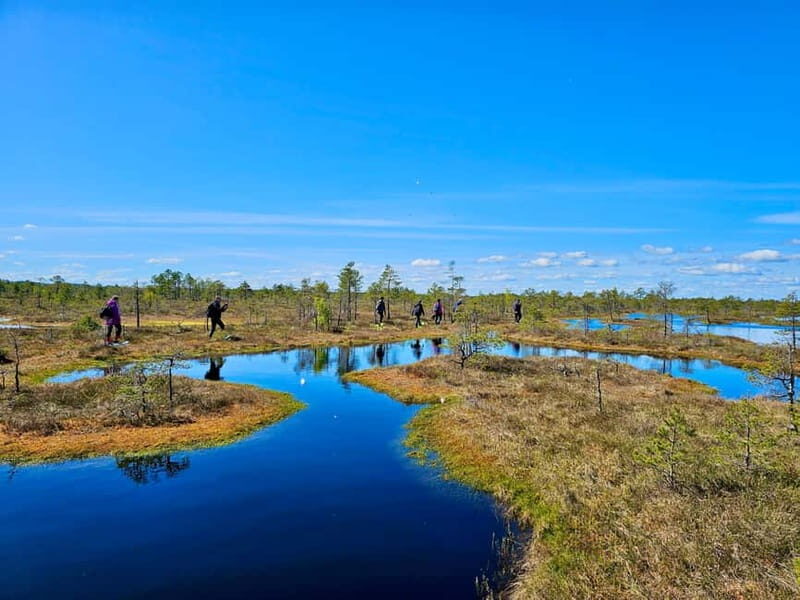 emeri Bogs Adventure: Explore Wetlands In Bog Shoes - The Full Experience: What to Expect from This Bog Adventure