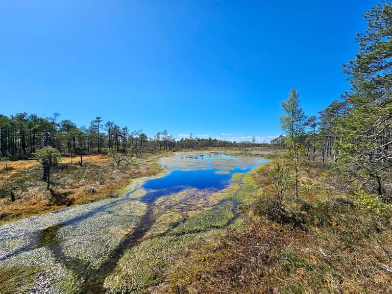 emeri Bogs Adventure: Explore Wetlands In Bog Shoes - Who Will Love This Tour?