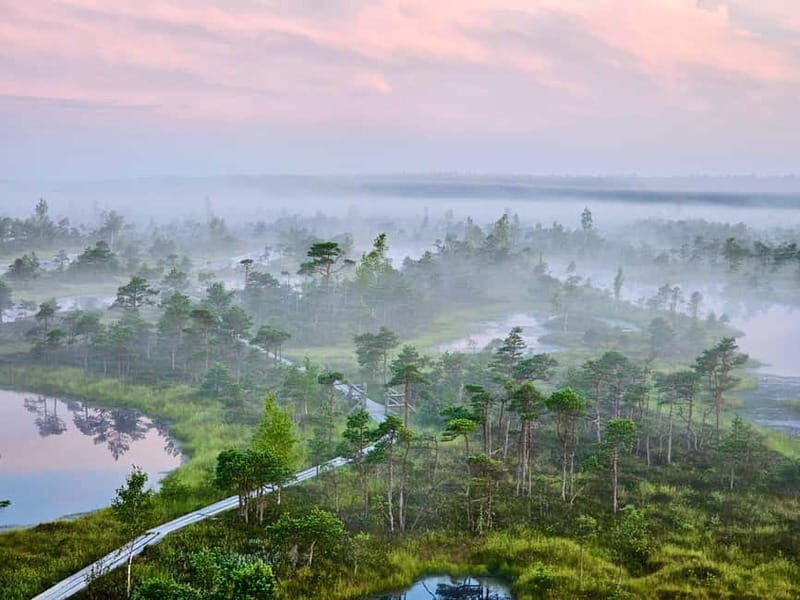 emeri Great Bog With Optional Sunrise & Jrmala Visit - The Practical Details: What to Know Before Booking