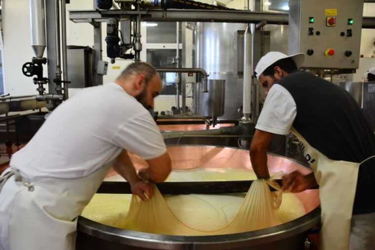 Emila-Romagna: Parmigiano, Prosciutto, Wine and Balsamic. - Who Should Consider This Tour?
