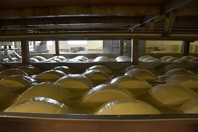 Emilia-Romagna Day Trip With Cheese, Wine, Vinegar Tastings  - Florence - Traveler Reviews and Testimonials
