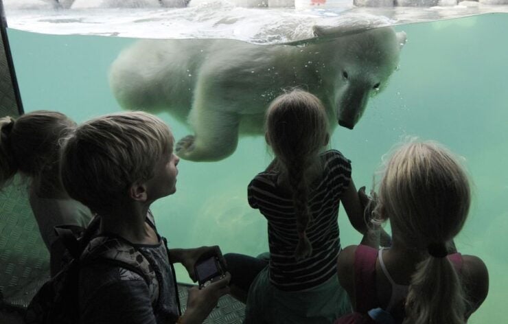 Emmen: Wildlands Adventure Zoo and Rimbula River Cruise - Highlights of the Experience